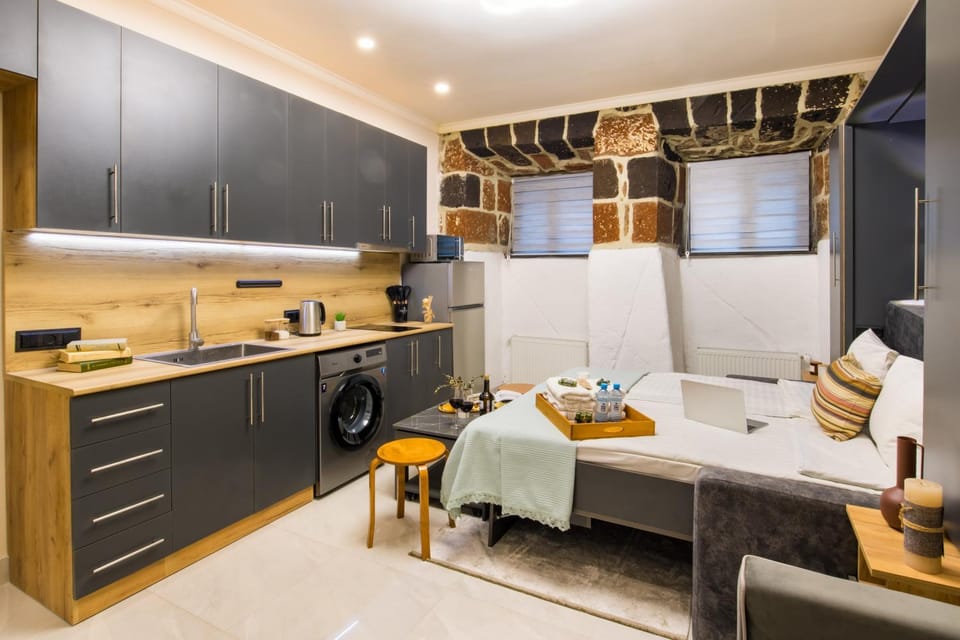 Kitchen or kitchenette, minibar, pet friendly, washing machine