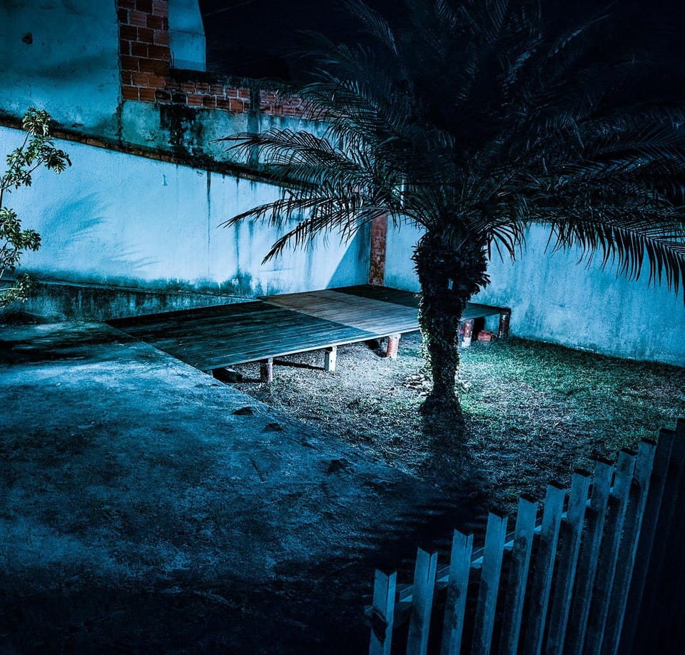 Night, Garden, Garden view