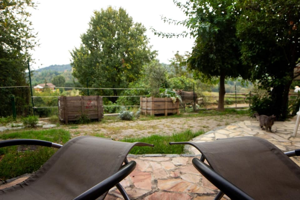 Day, Natural landscape, Garden