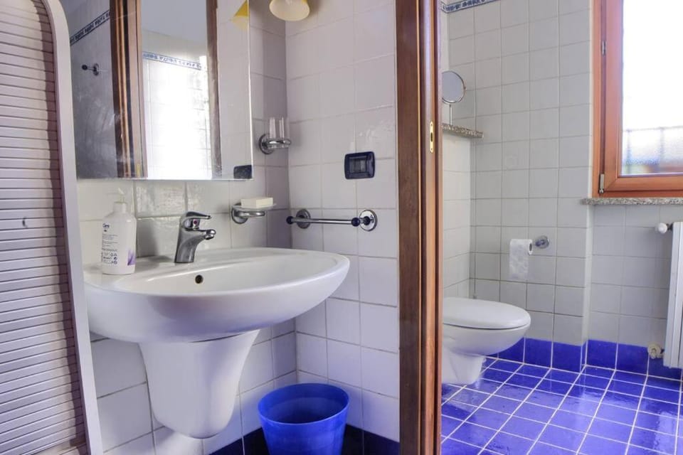 Shower, Toilet, towels