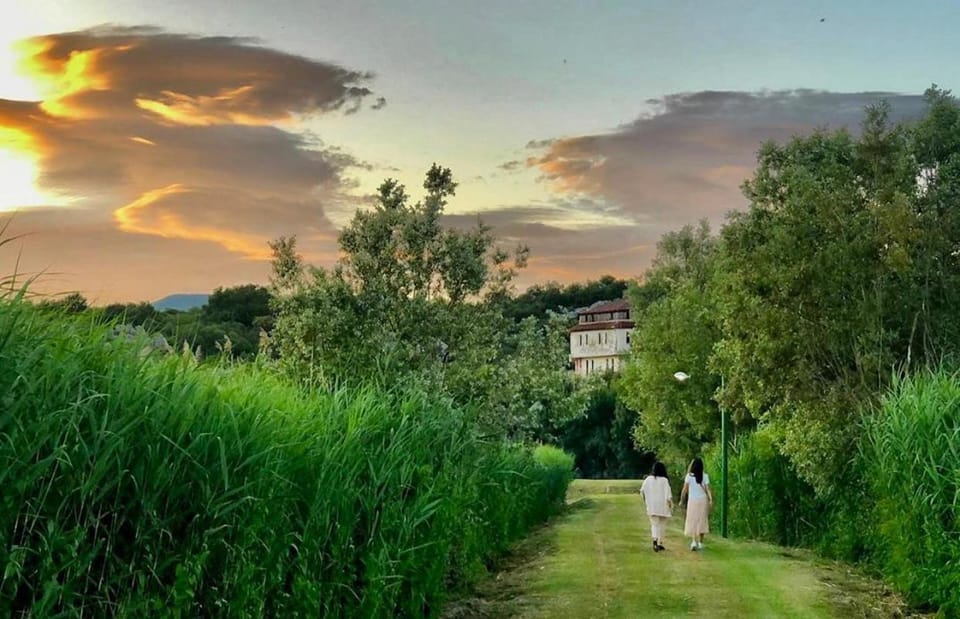 Natural landscape, Garden, Garden view