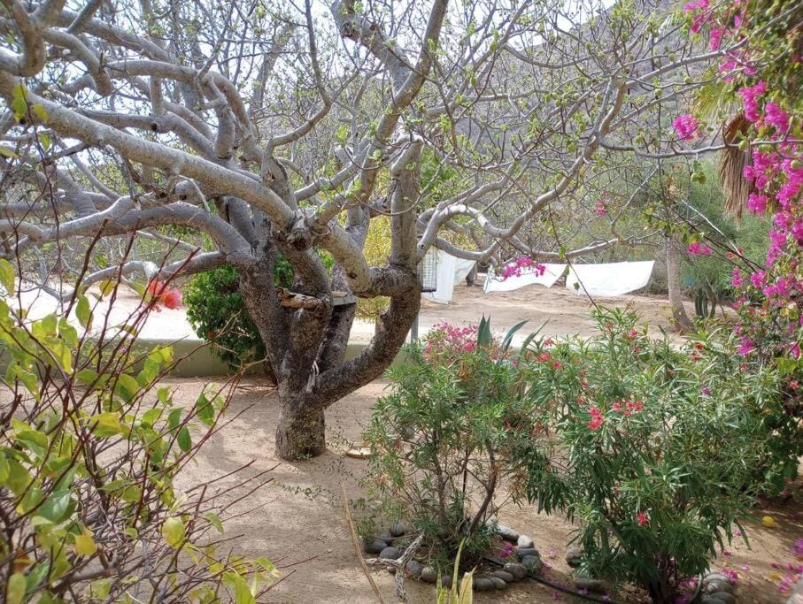 Casa Pájaros - Private 2-Story Home Villa in State of Sinaloa