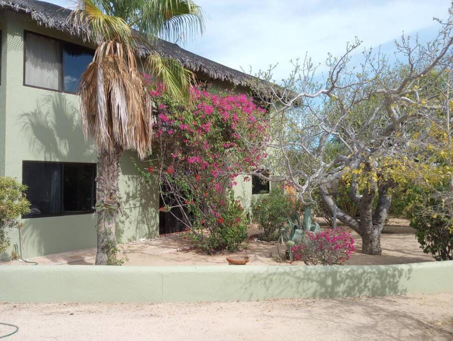 Garden view