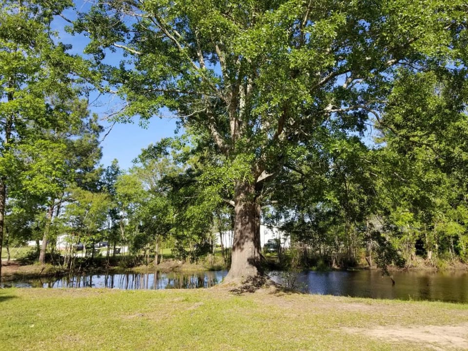 Jacksonville Ranch with private Hottub and Pool, stocked Pond, Bike and Hiking trails House in North Carolina