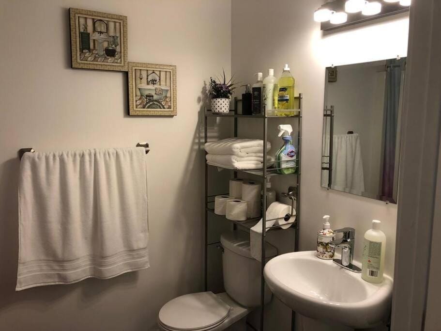Shower, Toilet, Bathroom, towels