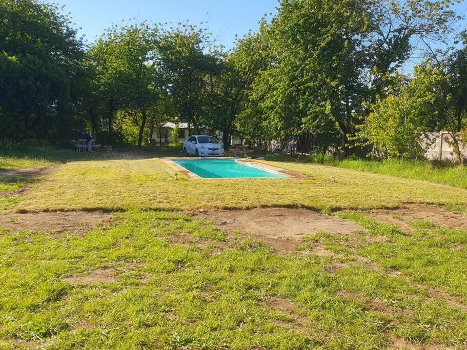 Garden, Garden view, Swimming pool