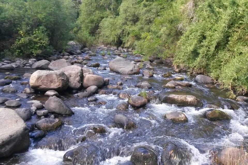 Natural landscape, Mountain view, River view
