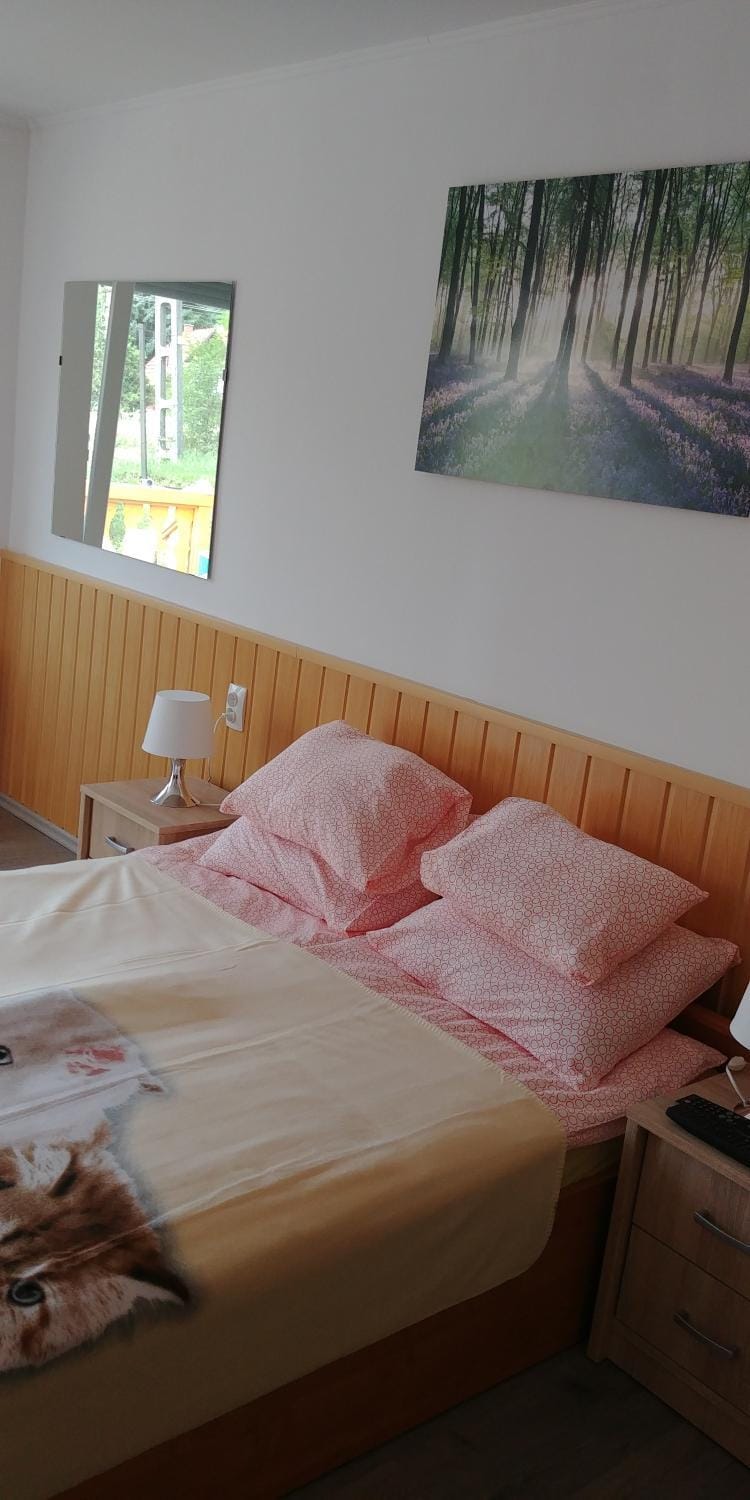 Bed, Photo of the whole room