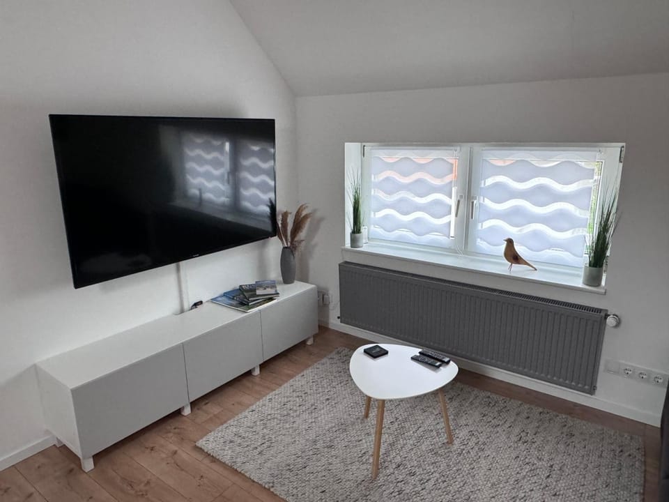 TV and multimedia, Evening entertainment