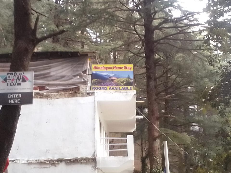 Himalayan Triund Trekking and Waterfalls View Hostel Bed and Breakfast in Punjab, India