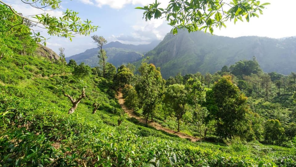 Nearby landmark, Natural landscape, Mountain view