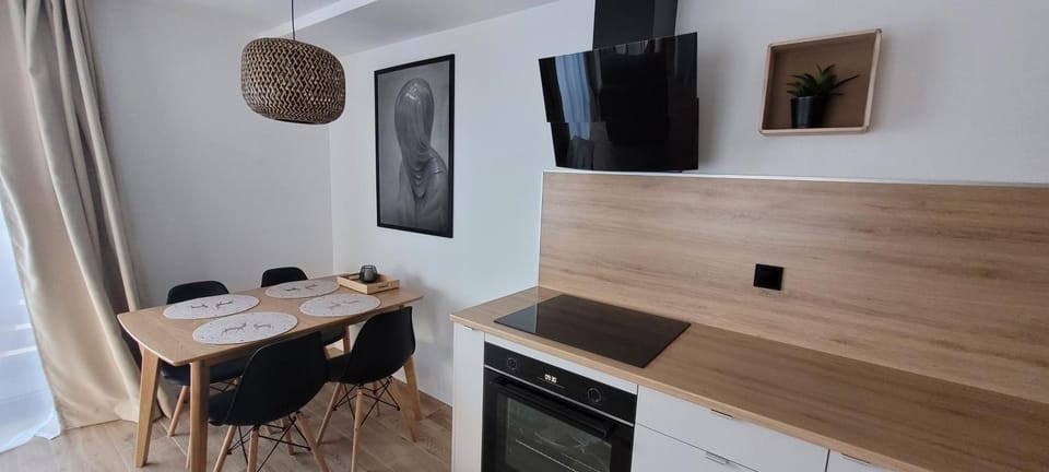 Zielona Przystań Apartment in Lower Silesian Voivodeship