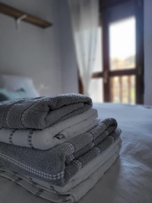 La caleya del pitu Apartment in Asturias