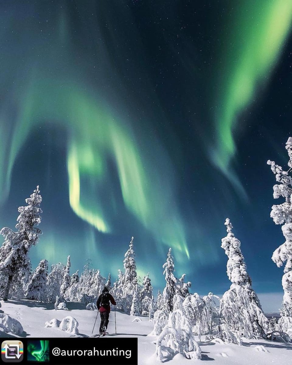 Day, Neighbourhood, Natural landscape, Winter, Skiing
