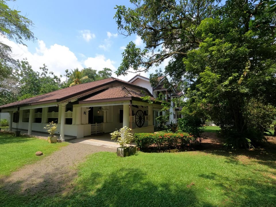 Property building, Day, Natural landscape, Garden, Garden view