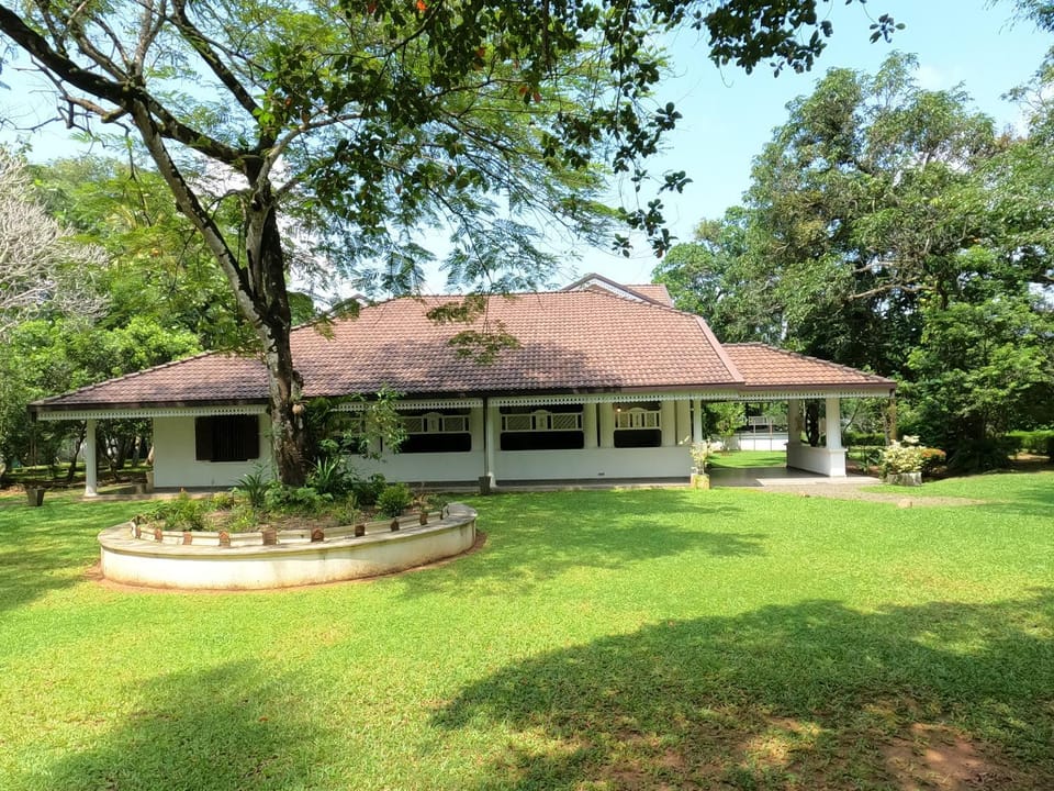 Property building, Day, Natural landscape, Garden, Garden view