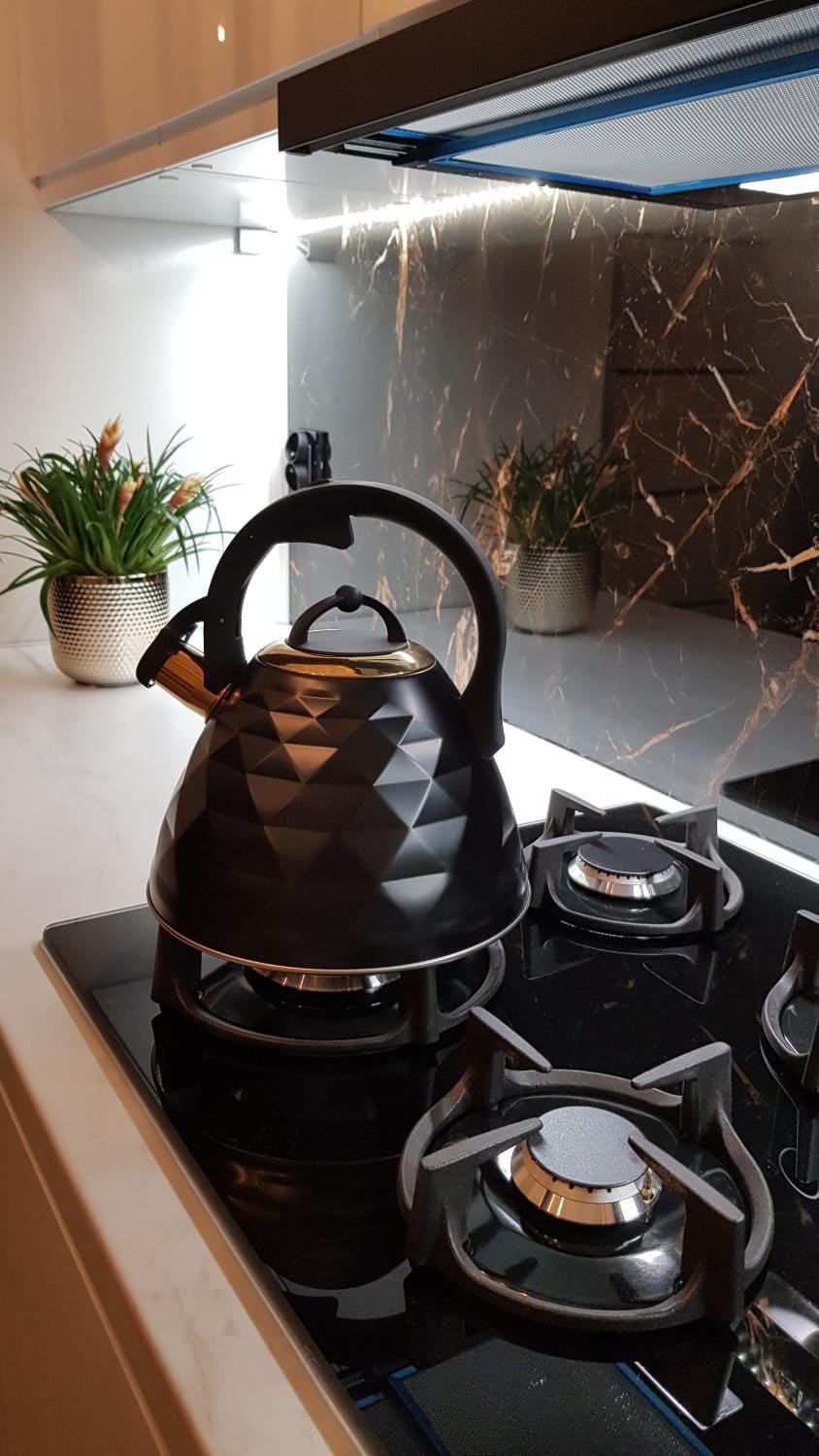 Kitchen or kitchenette, kitchen, kitchen