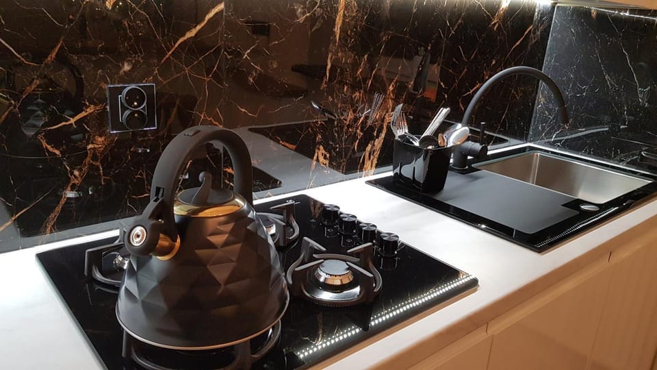 Kitchen or kitchenette, pet friendly, stove, stove, kitchen, kitchen