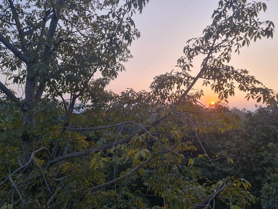 Sunset