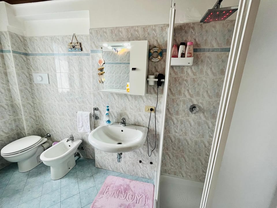 Shower, Toilet, Bathroom, bidet, towels