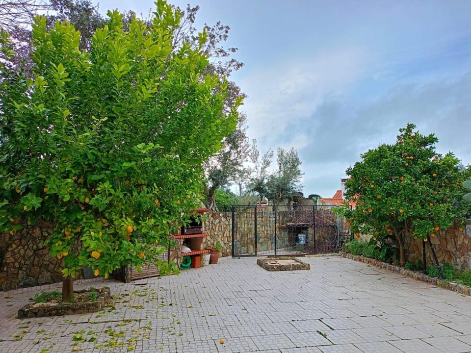Day, Garden view