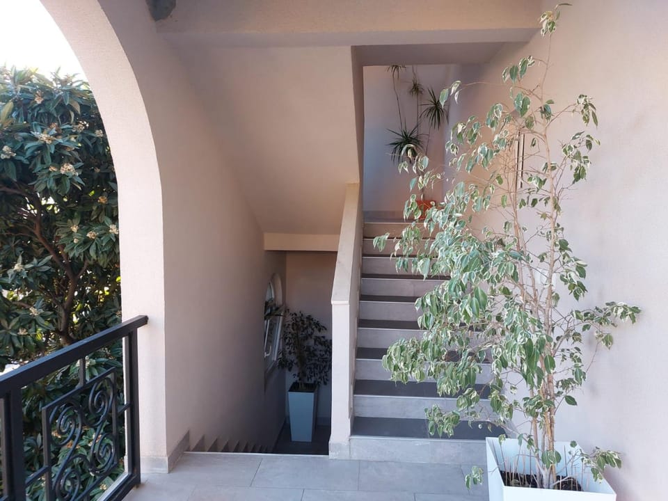 Property building, Day