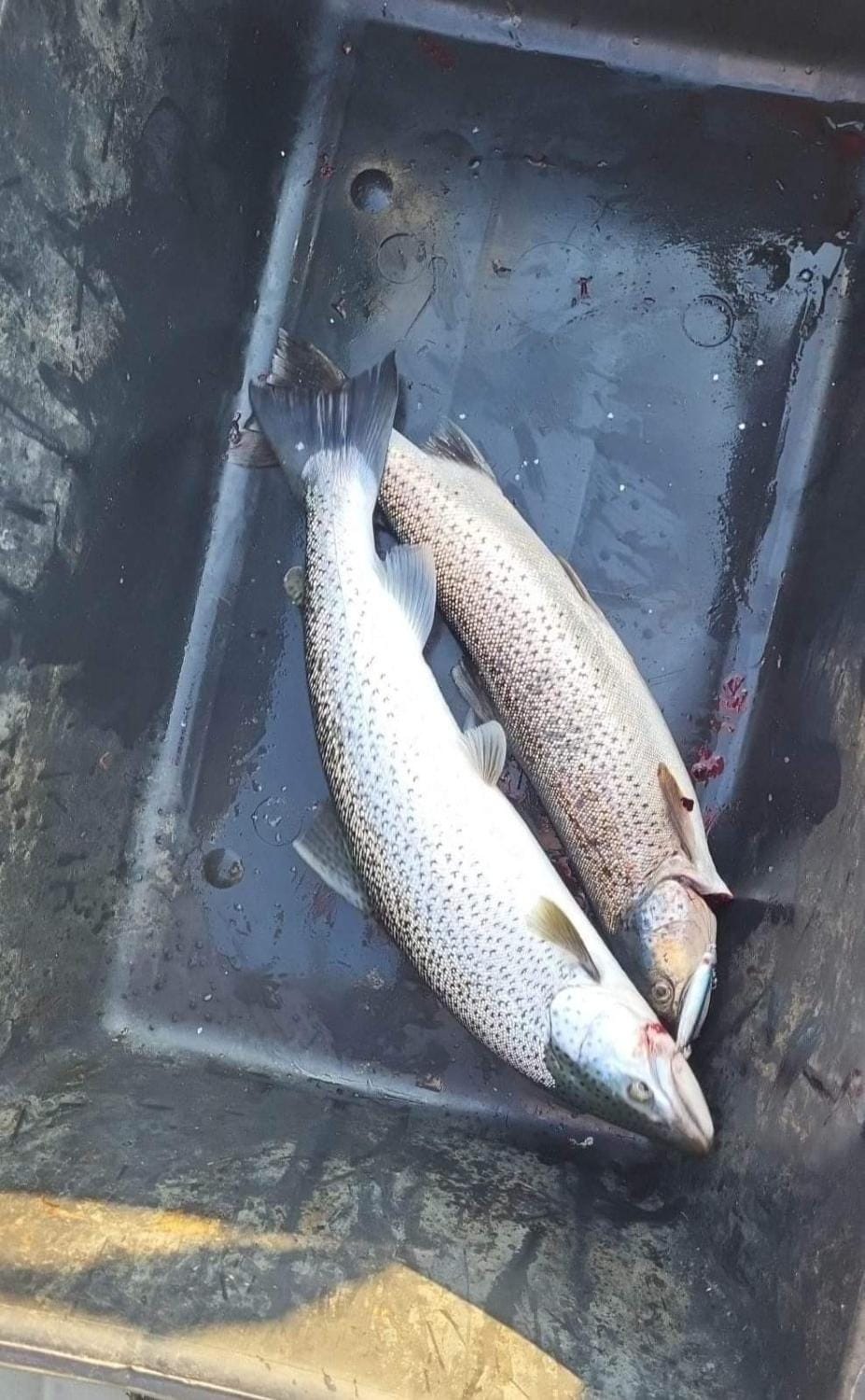 Fishing