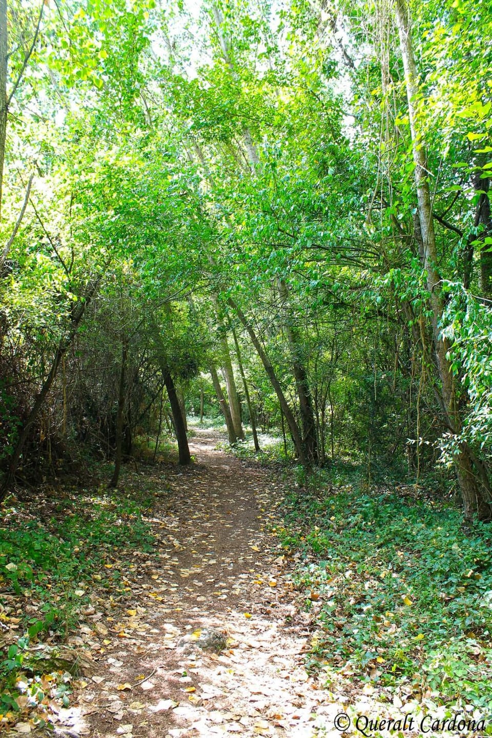 Nearby landmark, Spring, Natural landscape