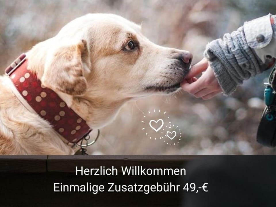 Pets, pet friendly, pet friendly