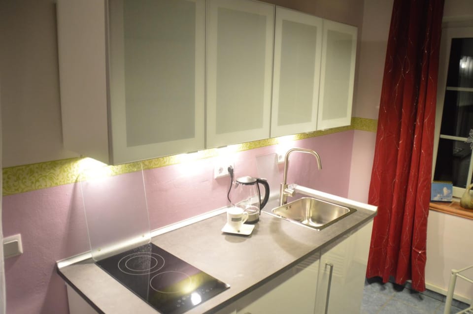 Kitchen or kitchenette, Photo of the whole room, Bedroom, stove