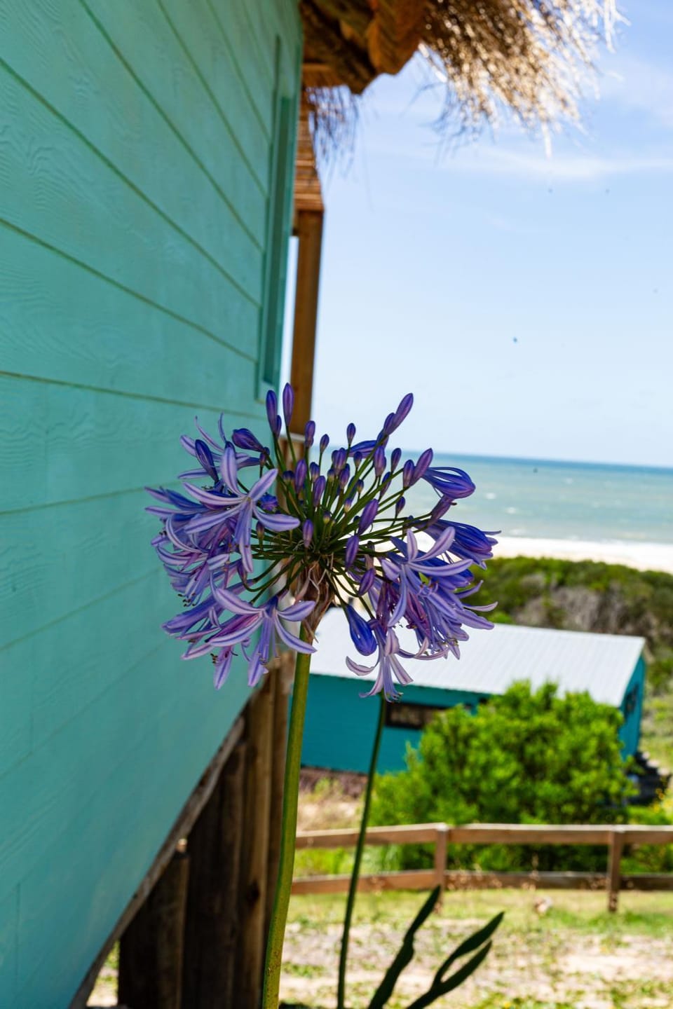 Spring, Day, Natural landscape, Garden, Garden view, Sea view