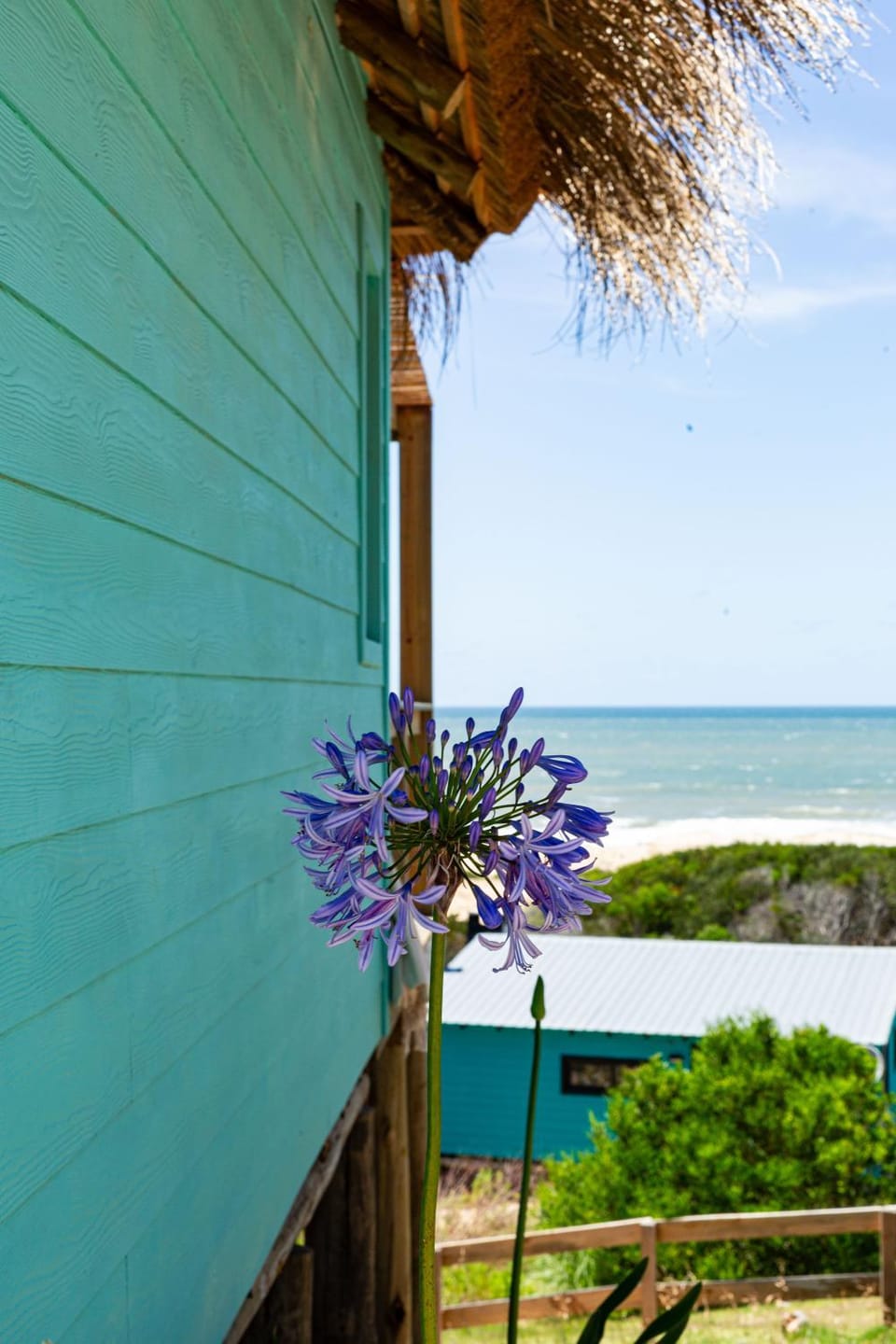Property building, Spring, Day, Natural landscape, View (from property/room), Balcony/Terrace, Sea view