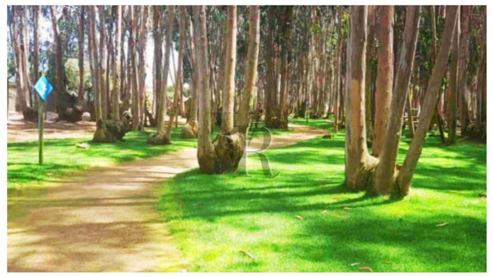 Natural landscape