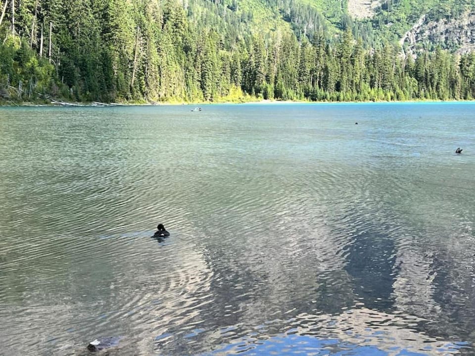 Mountain View Chalet at The Quarry - Sleeps 6! House in Whitefish