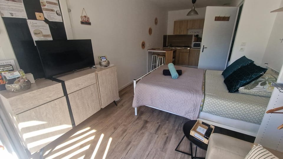 Bed, TV and multimedia, Kitchen or kitchenette, Photo of the whole room, Dining area, Bedroom, oven, pet friendly, stove