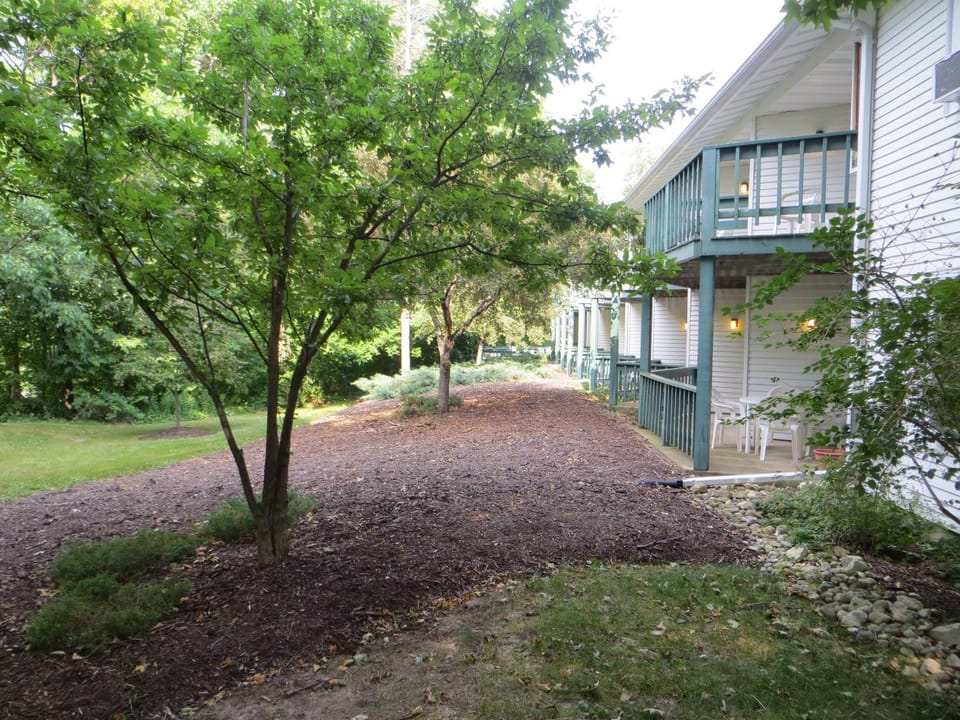 Property building, Garden