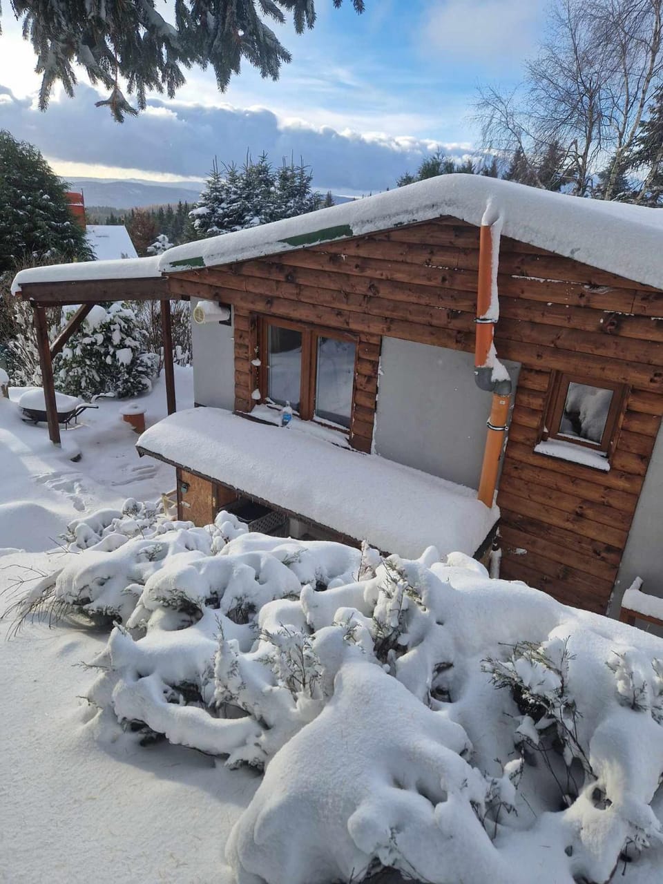 Property building, Winter, Garden