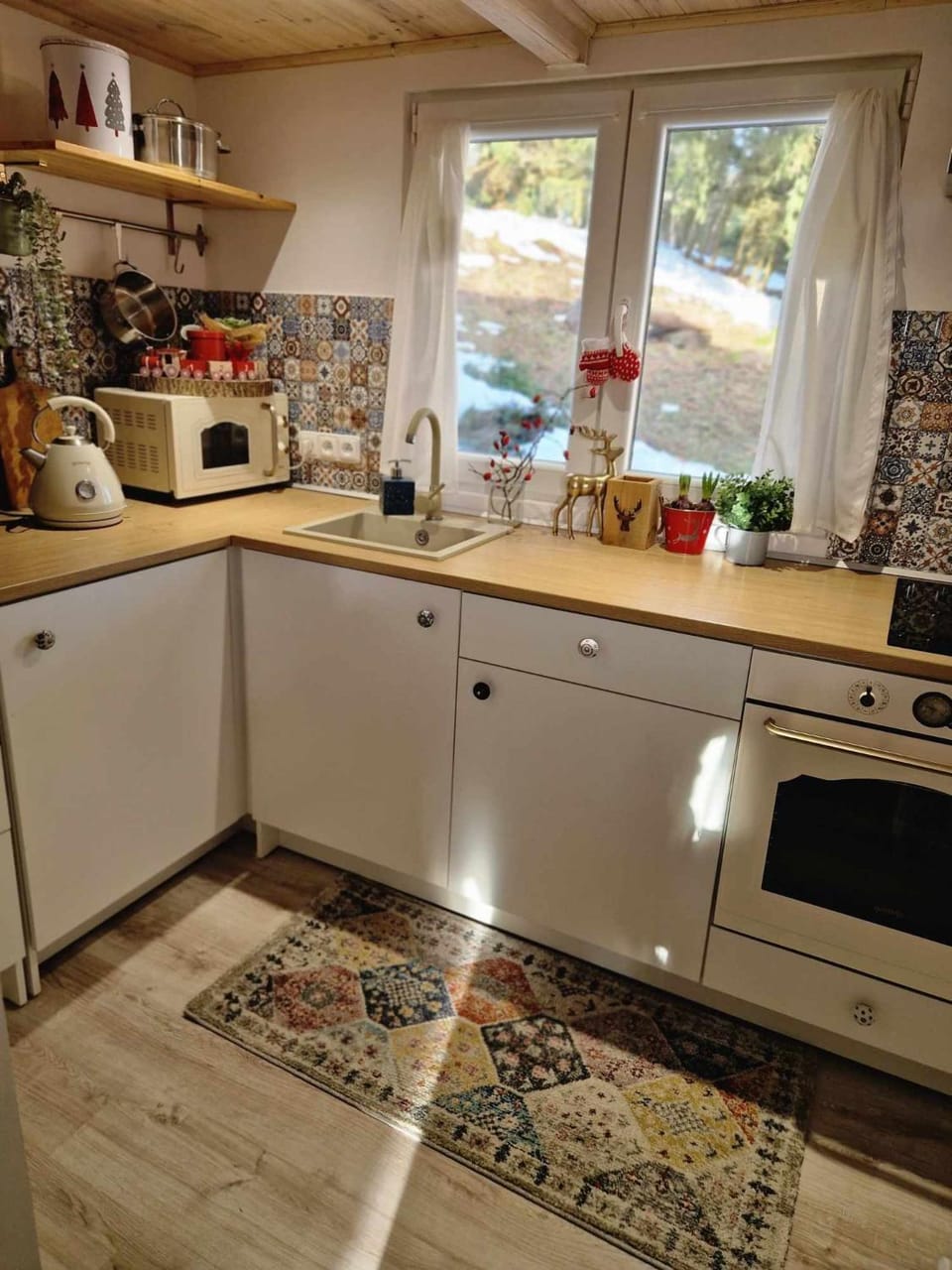 Coffee/tea facilities, Kitchen or kitchenette, Food and drinks, dishwasher, minibar, pet friendly, stove, toaster