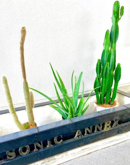 sonic apartment annex202　sonic hotelの離 ４名様まで同一価格 Apartment in Fukuoka Prefecture