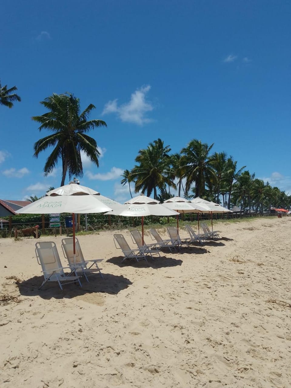 Flat Makia Beach em Muro Alto, Porto de Galinhas Apartment in Ipojuca