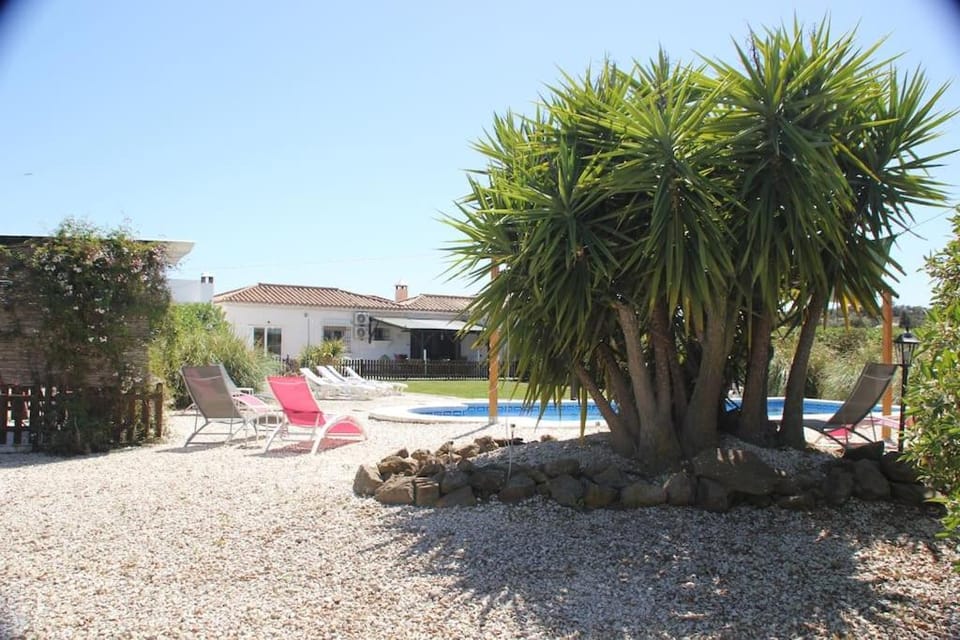 Garden, Garden, Pool view, Swimming pool, sunbed