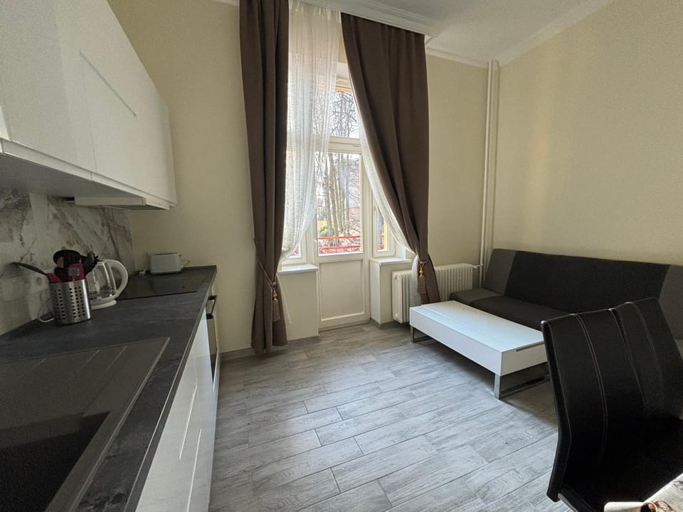 Bed, Kitchen or kitchenette, Living room, Seating area, Dining area, minibar, pet friendly, stove