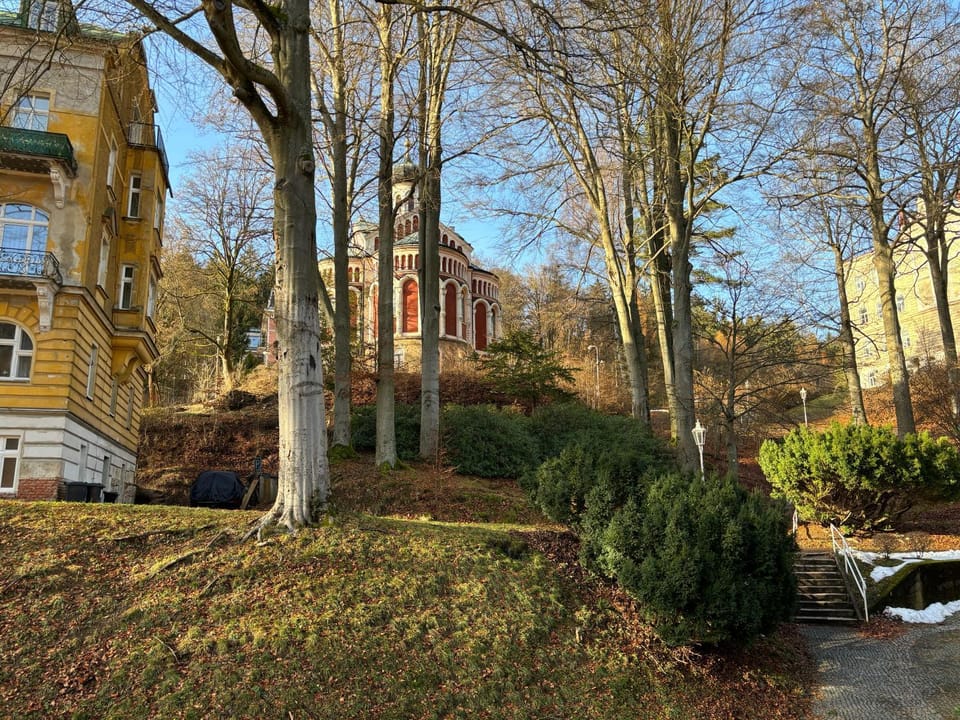 Garden view