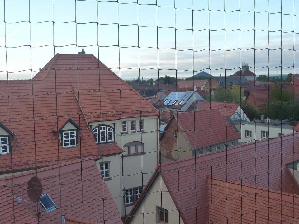 Neighbourhood