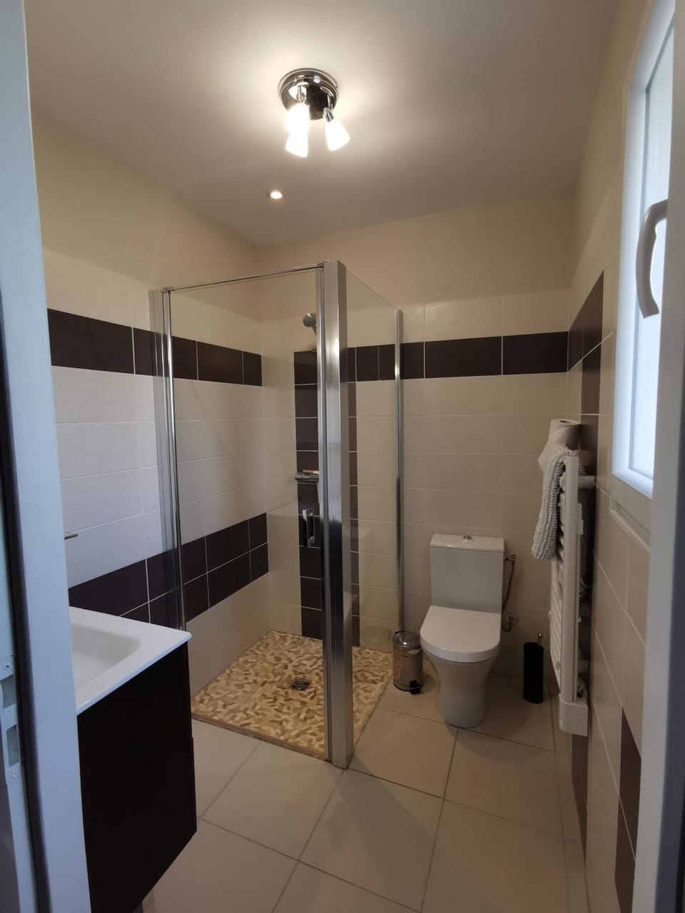 Shower, Toilet