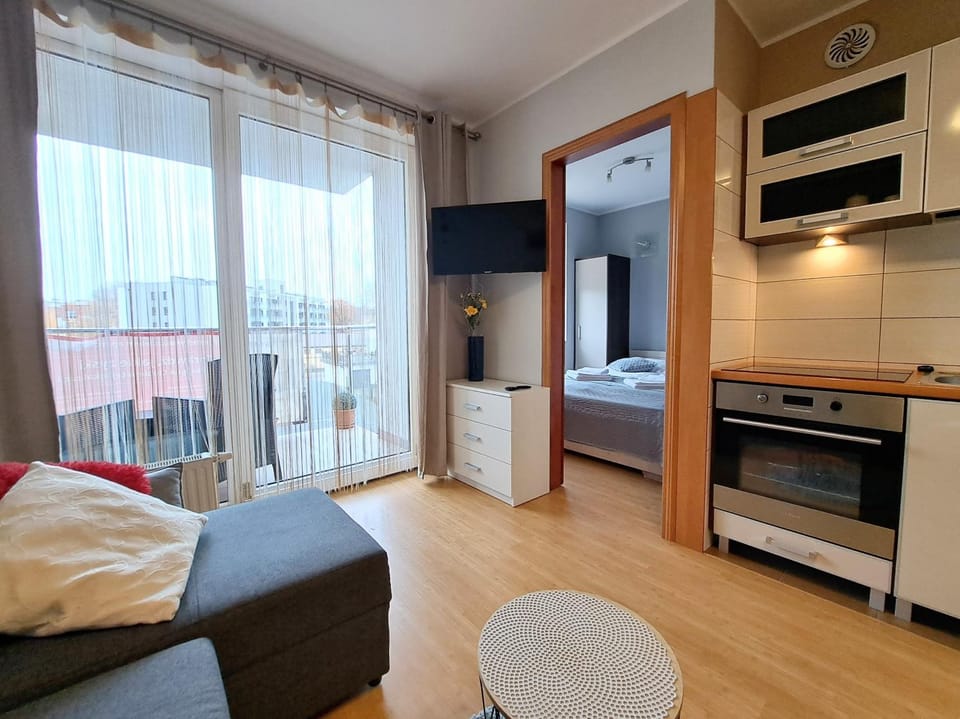 TV and multimedia, Kitchen or kitchenette, Living room, Photo of the whole room, Seating area
