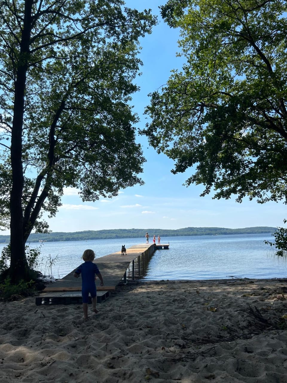 Natural landscape, Beach, Lake view