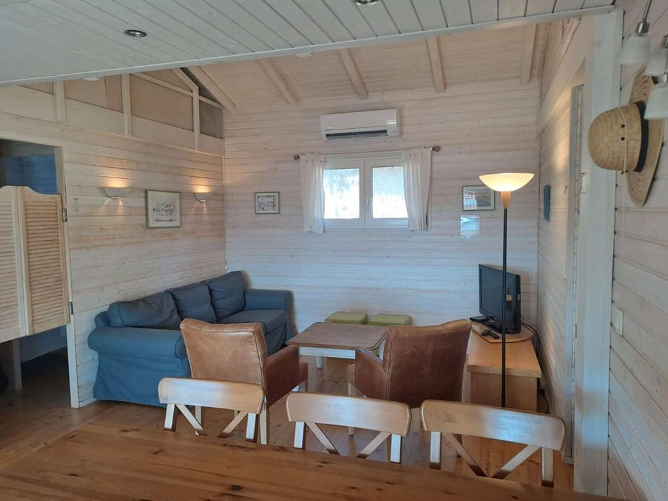 TV and multimedia, Living room, air conditioner