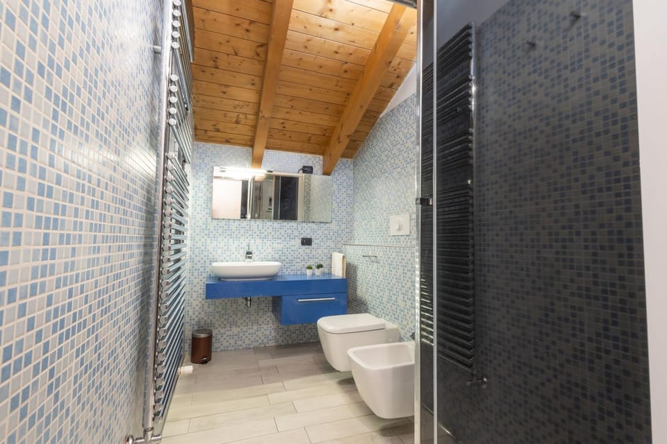 Shower, Toilet, Bathroom, bidet