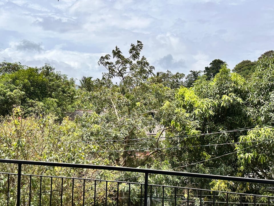 Patio, Day, Garden, Balcony/Terrace, Garden view